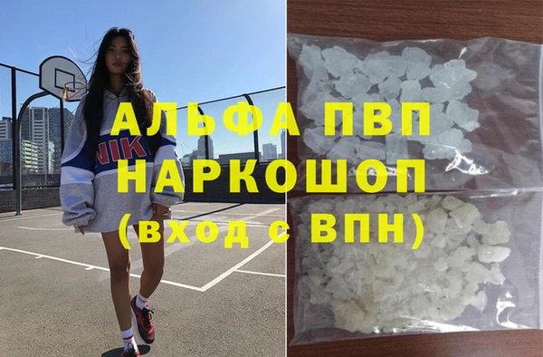 эйфоретик Арсеньев